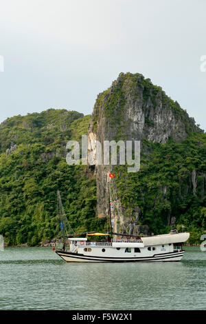 Chinesische Dschunken am Anker und Kalkstein (Karst) Hügel, Ha Long Bucht, Bai Tu Long Sektor, in der Nähe von Ha Long, Vietnam Stockfoto