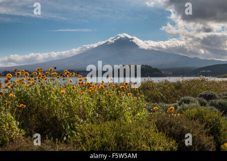 Mount Fuji gesehen von Lake Kawaguchiko Stockfoto