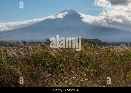 Mount Fuji gesehen von Lake Kawaguchiko Stockfoto