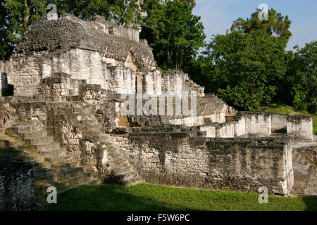 Maya-Pyramide in Tikal in Guatemala, Südamerika Stockfoto