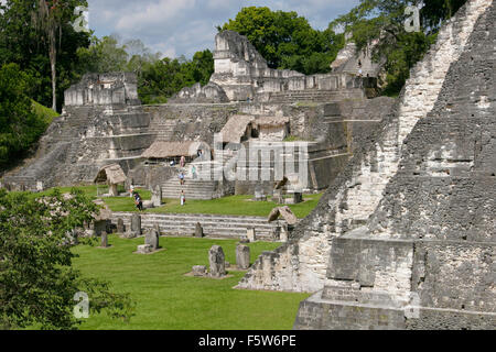 Maya-Pyramide in Tikal in Guatemala, Südamerika Stockfoto