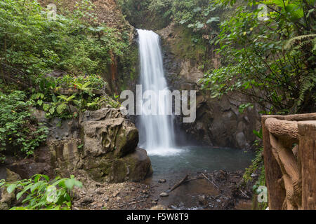 Fernblick über verschwommenes La Paz Wasserfall unter dem Regenwald, Costa Rica Stockfoto