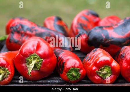 Rote Paprika auf dem Grill gebraten Stockfoto