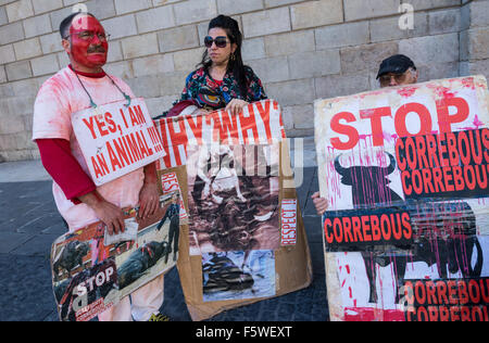 Protest gegen Stierkämpfe vor Palast von der Regierung von Katalonien in Barcelona Sant Jaume Square, Barri Gòtic, Stockfoto