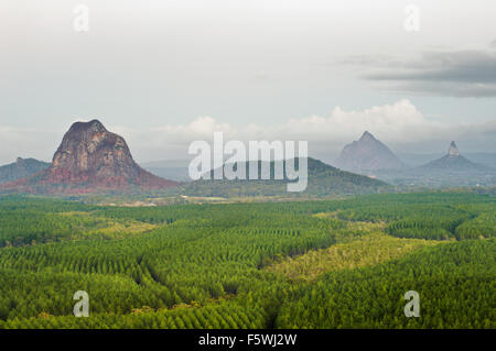 Glass House Mountains von wilden Pferden Lookout. Stockfoto