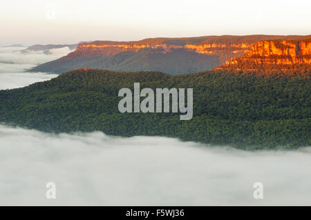 Der schmale Hals des Blue Mountain im frühen Morgenlicht. Stockfoto