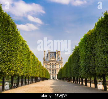 Tuilleries Garten Bäumen gesäumten Vista führt zu Louvre Museum. Sommer-Blick von der Terrasse du Bord de l ' Eau in Paris, Frankreich Stockfoto