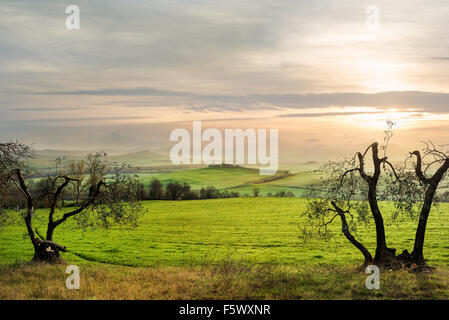 Landschaft im Val d ' Orcia Provinz. Toskana, Italien Stockfoto