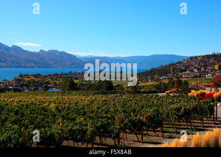 Okanagan Region, Wein Anbaugebiet in Kanada. Stockfoto