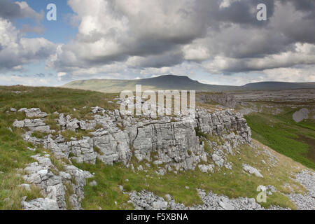 Pen-y-Gent Hügel aus Moughton Narbe Kalkstein Pflaster, Crummackdale, Yorkshire Dales, North Yorkshire, UK Stockfoto