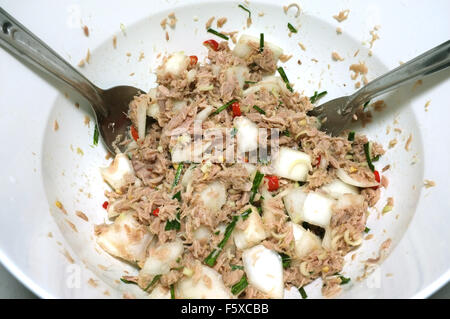 Würzige Thunfischsalat, Thai-Stil Stockfoto