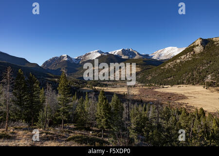 Horseshoe Park in Rocky Mountain Nationalpark Stockfoto