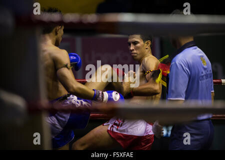 Muay Thai kämpfen (Rajadamnern Stadion, Bangkok, Thailand). Stockfoto