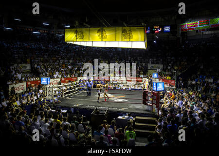 Muay Thai kämpfen (Rajadamnern Stadion, Bangkok, Thailand). Stockfoto