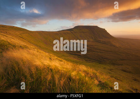 Niedrige abgewinkelt Beleuchtung von der Seite beleuchtet der westlichen Flanke der Ingleborough Hill, gesehen von Simon Fell, Yorkshire Dales, UK Stockfoto