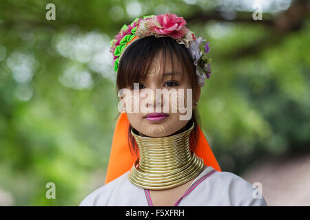 Eine Dame aus der Kayan ("Langhals") Bergstämme im Norden Thailands Stockfoto