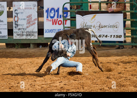 Jugend konkurrieren in einem NSRA Jugend Rodeo in Lincoln, Kalifornien Stockfoto