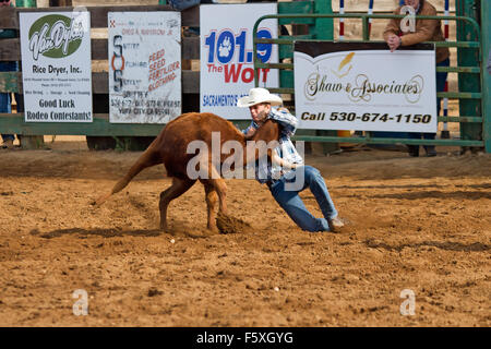 Jugend konkurrieren in einem NSRA Jugend Rodeo in Lincoln, Kalifornien Stockfoto