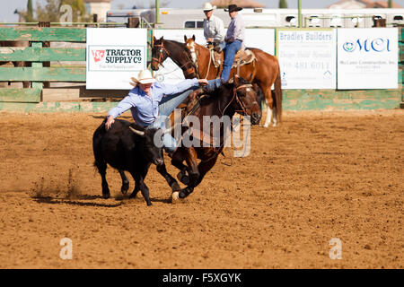 Jugend konkurrieren in einem NSRA Jugend Rodeo in Lincoln, Kalifornien Stockfoto