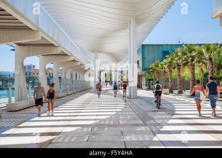 Muelle Dos am Hafen von Málaga mit gebogenen Sonnenschirmen an der Promenade der Palmeral de Las Sorpresas Stockfoto