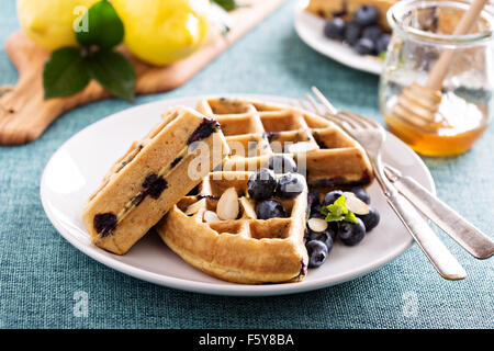Zitrone Blaubeere Waffeln mit Beeren und Honig Stockfoto