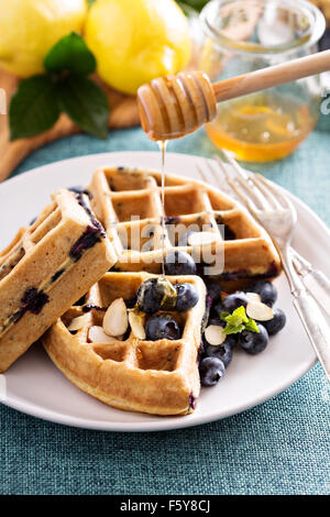 Zitrone Blaubeere Waffeln mit Beeren und Honig Stockfoto