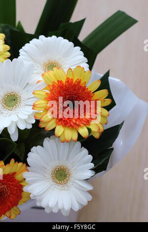 Nahaufnahme von Bouquet von Gerbera Blumen Stockfoto