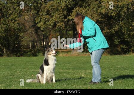 Frau und Border Collie Stockfoto