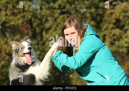 Border-Collie zeigt trick Stockfoto