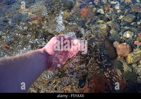 menschliche Hand raffte sauberes frisches Trinkwasser aus Fluss-Strom Stockfoto