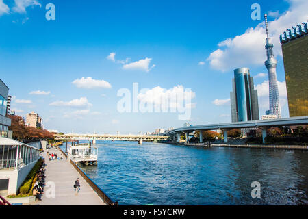 Blick vom Azumabashi, Sumida-Fluss, Tokyo, Japan Stockfoto