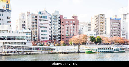 Blick vom Azumabashi, Sumida-Fluss, Tokyo, Japan Stockfoto