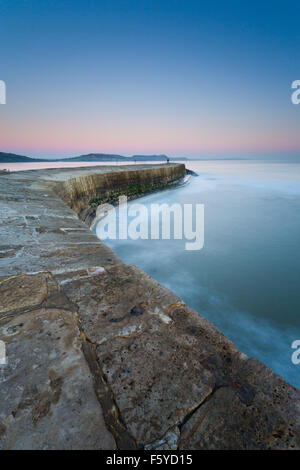 Die Cob; Lyme Regis, Dorset, Großbritannien Stockfoto