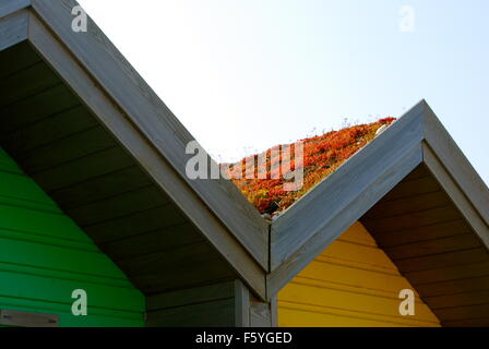 Farbenfrohe Strandhütten in Blyth. Stockfoto