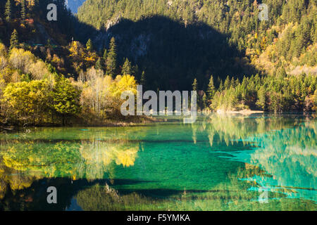 Jiuzhaigou Nationalpark, fünf Blume See ist See in Sichuan, China Stockfoto