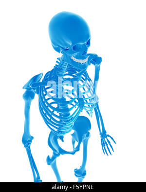 medizinisch genaue Abbildung des menschlichen Skeletts Stockfoto