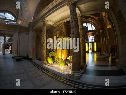 V & A, London, UK. 10. November 2015. Designer Sarthak und Sahil offenbaren ihre neue festliche Lichtinstallation, Kalpataru: The Wishing Tree, in der große Auftritt des V & A. Die Installation feiert die Konzepte und Bräuche der alten hinduistischen Festival von Diwali zugeordnet und ist Teil des V & A Indien Festivals. Bildnachweis: Artsimages/Alamy Live-Nachrichten Stockfoto