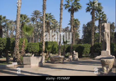 Ägypten. Memphis. Mit Rahina Open Air Museum mit der Statue des Pharao Ramses II. (h.1290-1224 v. Chr.). Neues Reich. 19. Dynastie. Stockfoto