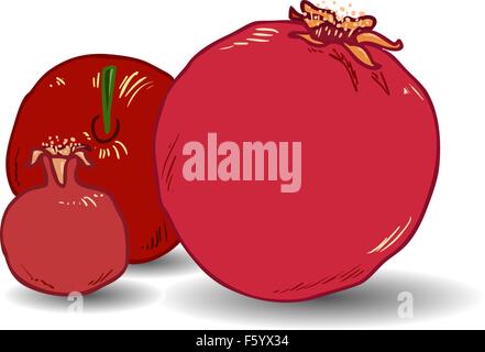 Vektor-Illustration Malvorlagen von Granatäpfel für Rosh Hashanah jüdischen Neujahr. Stock Vektor