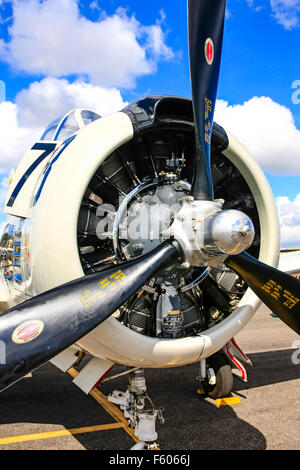 North American t-28 Trojan 1950er Jahre US Navy Kolbenmotor-Trainer Flugzeug auf das Seitenfeld Fort Myers Airport Tag der offenen Tür Stockfoto