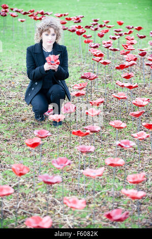 Aldridge, West Midlands, UK. 10. November 2015. Schüler in der Schule Aldridge, inspiriert von der letztjährigen Installation am Tower of London, erstellt 600 Ton, die Mohnblumen, die für einen besonderen Akt der Erinnerung Service installiert wurden an der Schule nahmen 91 Jahre Alter Veteran Les Reeves abgehalten.  Das Bild zeigt Headgirl Josie Durrant Credit: Jane Williams/Alamy Live News Stockfoto