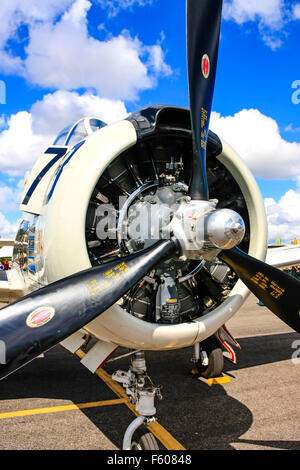 North American t-28 Trojan 1950er Jahre US Navy Kolbenmotor-Trainer Flugzeug auf das Seitenfeld Fort Myers Airport Tag der offenen Tür Stockfoto