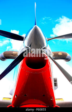 Eine Turboprop Pratt & Whitney PT6A-60AG an der Vorderseite des einen AT-602 Sprühflugzeug Flugzeug Stockfoto