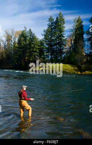 Fliegenfischen McKenzie River, Greenwood Landung County Park Lane County, Oregon Stockfoto