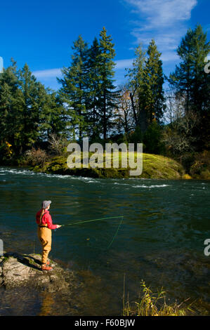Fliegenfischen McKenzie River, Greenwood Landung County Park Lane County, Oregon Stockfoto