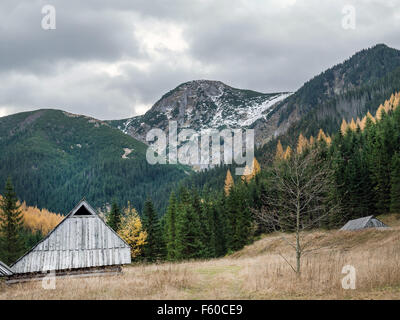 Alte hölzerne Schäferhütte auf der Weide am Fuße der hohen Tatra, Polen Stockfoto
