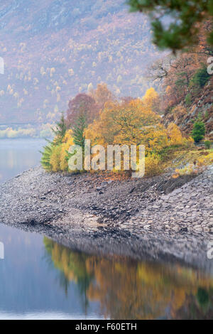 Herbstfarben und Reflexionen am Garreg DDU Dam und Stausee, Elan Valley, Powys, Mid Wales, Großbritannien im November mit Herbstfarben Stockfoto