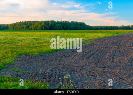 bereit für die Aussaat im zeitigen Frühjahr gepflügtes Feld Stockfoto