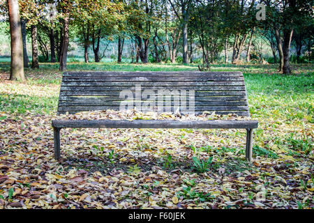 eine Holzbank allein unter Laub Stockfoto