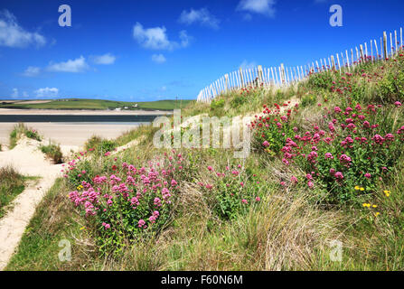 Blick über Camel Mündung von St Enodoc, Cornwall. Stockfoto